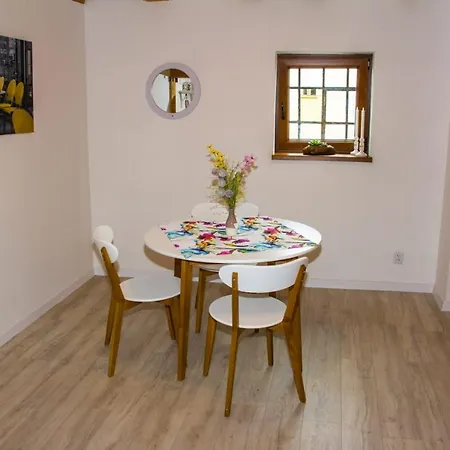 Stary Mlyn Apartment *